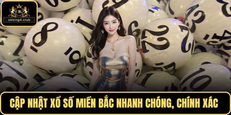 Cập nhật xổ số miền Bắc nhanh chóng, chính xác 